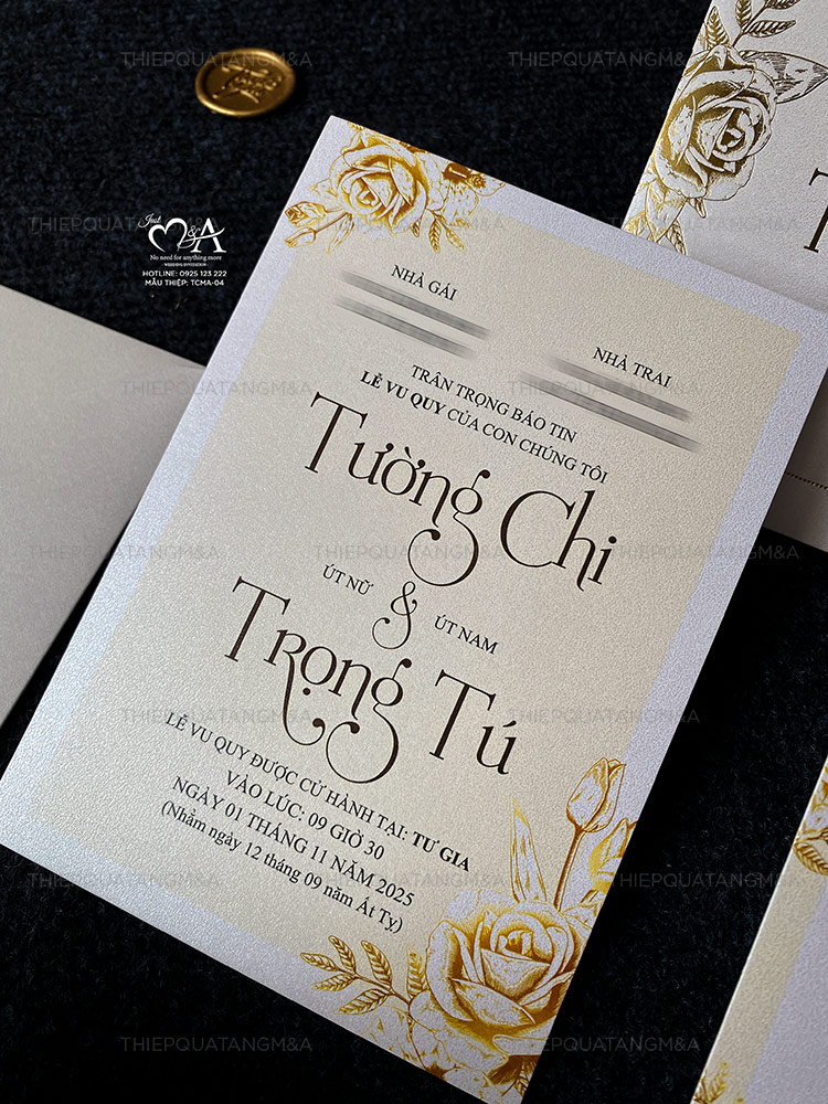 TCMA-04 - Ảnh 4