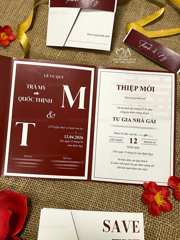 TCMA-91 - Ảnh 3
