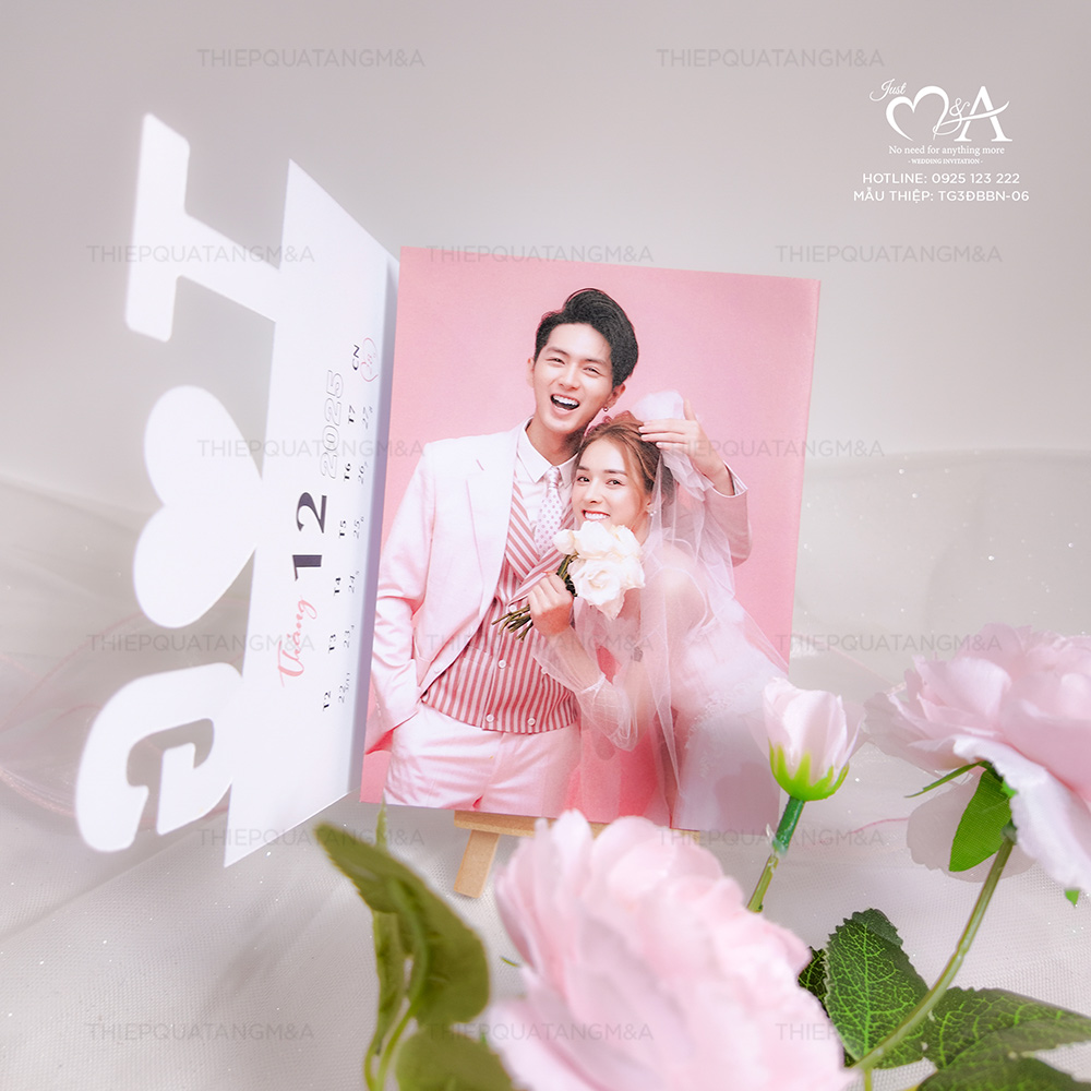 TG3ĐBBN-06 - Ảnh 2