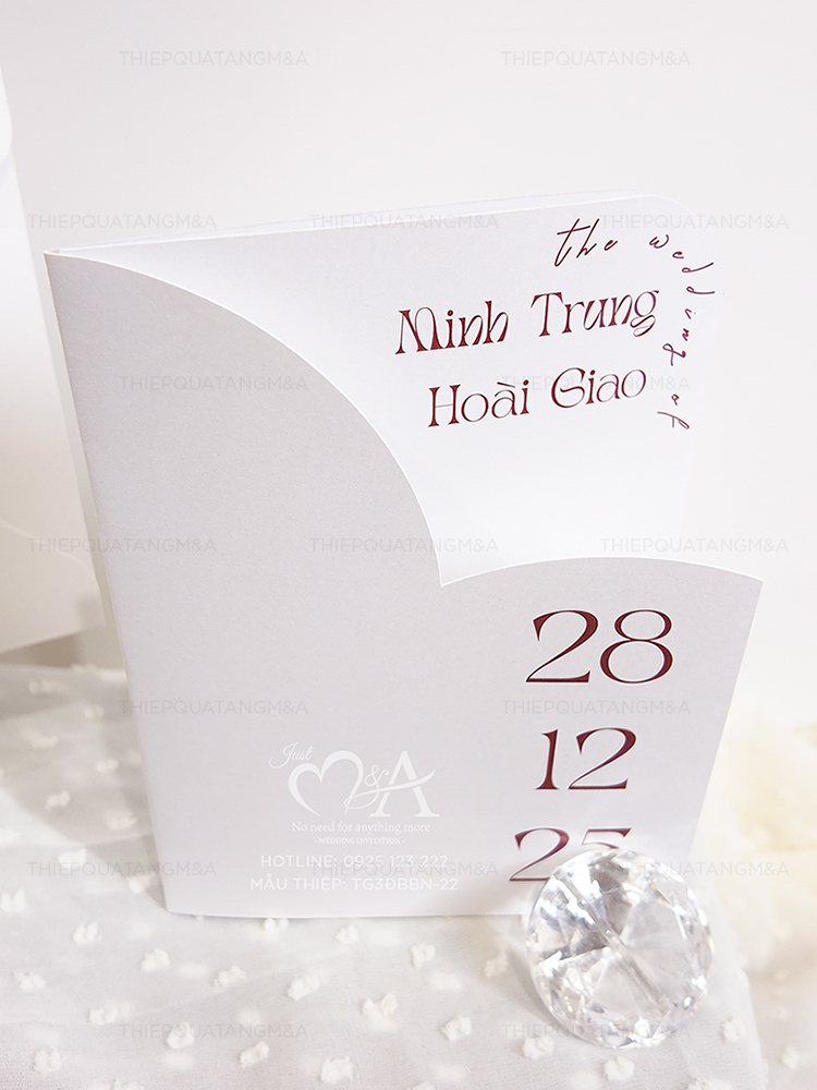 TG3ĐBBN-22 - Ảnh 4