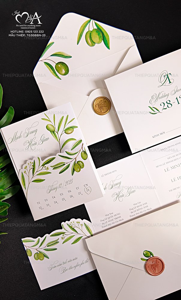 TG3ĐBBN-23 - Ảnh 2