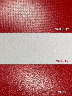 CÁN VÂN GIẤY